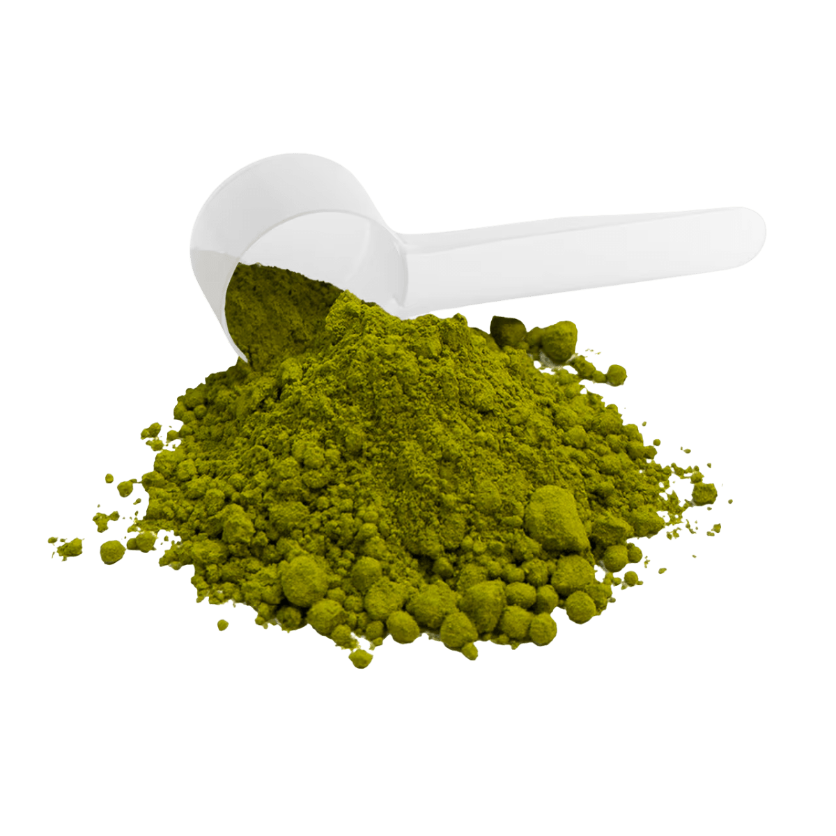 Daily Matcha
